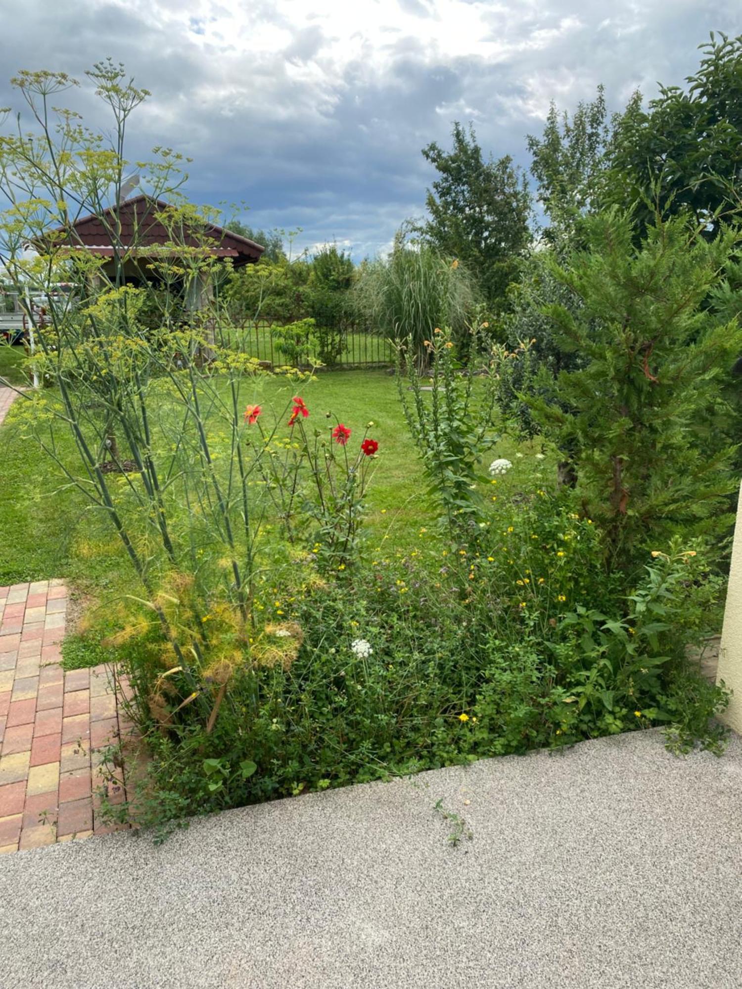 Ferienwohnung An Der Unditz 2 Neuried  Exterior foto